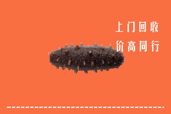 桂林市恭城回收海参