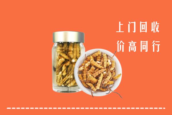 桂林市恭城回收冬虫夏草